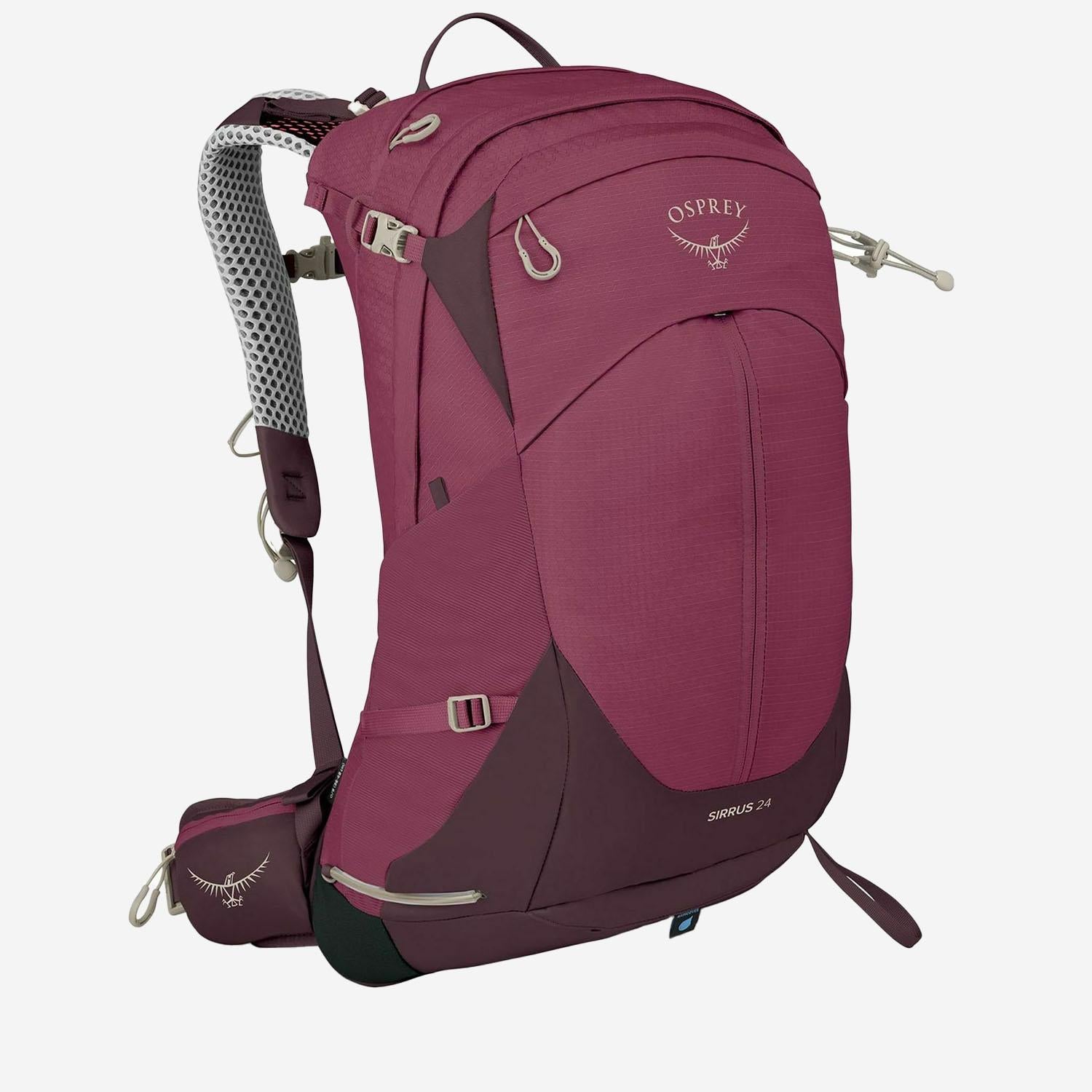 OSPREY 10005784ELDERBERRY PURPLE CHIRU TAN